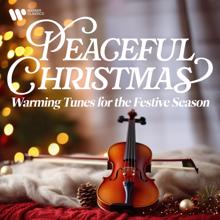 Johann Sebastian Bach: Peaceful Christmas - Warming Tunes for the Festive Season