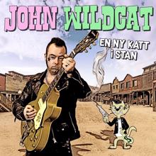 John Wildcat: En ny katt i stan