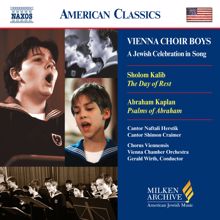 Vienna Boys Choir: Vienna Boys Choir: A Jewish Celebration in Song