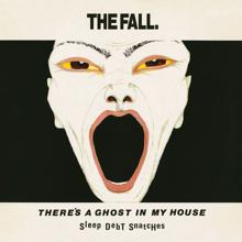 The Fall: There's a Ghost in My House