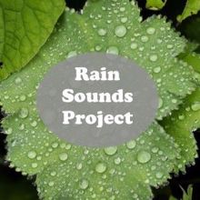 Rain Sounds: Rain Sounds Project