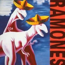 Ramones: Adios Amigos