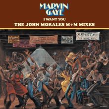 Marvin Gaye: I Want You: The John Morales M+M Mixes