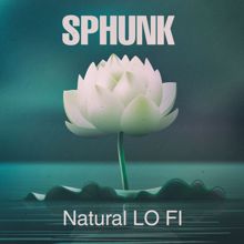 Sphunk: Natural Lo Fi