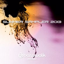 Various Artists: Summer Sampler 2013