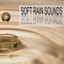 Rain Sounds: Soft Rain Sounds