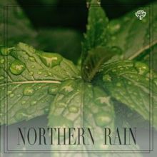 Rain Sounds: Northern Rain