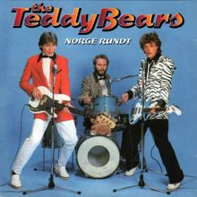 Teddy Bears: Norge rundt