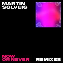 Martin Solveig: Now Or Never (Remixes) (Now Or NeverRemixes)