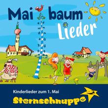 Sternschnuppe: Heit stelln ma an Maibaum auf! (Bayerisches Kinderlied zum 1. Mai - Instrumental)