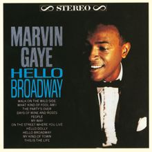 Marvin Gaye: Hello Broadway