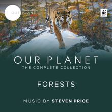 Steven Price: Forests (Episode 8 / Soundtrack From The Netflix Original Series "Our Planet")