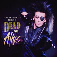 Dead Or Alive: That's The Way I Like It: The Best of Dead Or Alive