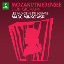 Marc Minkowski: Mozart: Don Giovanni, K. 527 (Arr. Triebensee for Wind Ensemble)