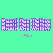 David Van Walker: David Van Walker, Vol. 2