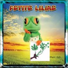 Calise Brigitte with Crenouille: Petite Liline