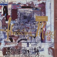 Throwing Muses: The Curse