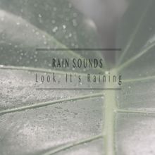 Rain Sounds: Look, It's Raining