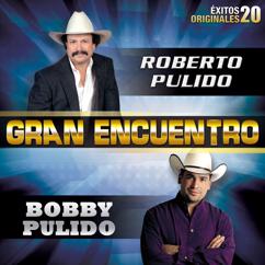 Roberto Pulido: Gran Encuentro (20 Éxitos Originales)