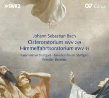 Kammerchor Stuttgart: Himmelfahrtsoratorium, BWV 11: Recitative. Ach, Jesu, ist dein Abschied schon so nah?