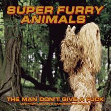 Super Furry Animals: The Man Don't Give a Fuck (Live at Hammersmith Apollo)