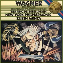 Zubin Mehta: Wagner: Orchestral Music from "Der Ring des Nibelungen"