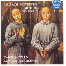 Cantus Cölln: Bach Motets