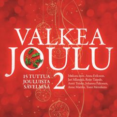 Various Artists: Valkea joulu 2