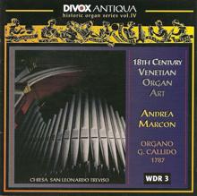 Andrea Marcon: Organ Sonata in F major: Allegro