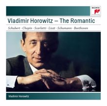 Vladimir Horowitz: Vladimir Horowitz - The Romantic
