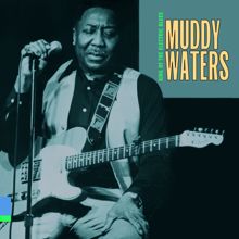 Muddy Waters: Mannish Boy