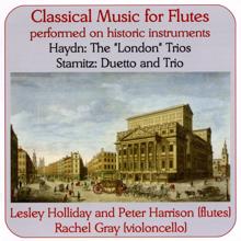 Various Artists: Classical Music for Flutes Performed on Historic Instruments