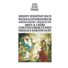 Nikolaus Harnoncourt: Bach Christmas Oratorio, BVW 248 - Arias & Choruses