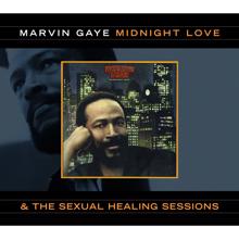 Marvin Gaye: Rockin' After Midnight (Instrumental)