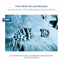 Ostrobothnian Chamber Orchestra: Eller : Sinfonietta : II Lento espressivo