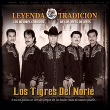 Los Tigres Del Norte: Un Hombre De Ley (Album Version)