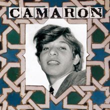 Camarón De La Isla: Camarón En La Venta De Vargas