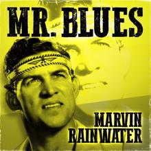 Marvin Rainwater: Mr. Blues