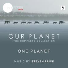 Steven Price: This Is Our Planet