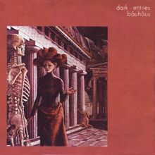 Bauhaus: Dark Entries