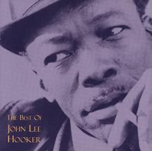 John Lee Hooker: The Best Of John Lee Hooker