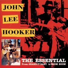 John Lee Hooker: The Essential