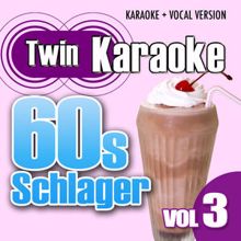 Karaoke Star Explosion: Siebzehn Jahr, blondes Haar (Karaoke Version)