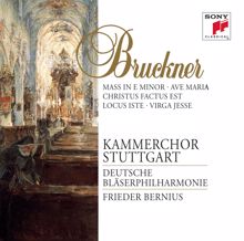 Frieder Bernius: Bruckner: Mass in E Minor; Motets