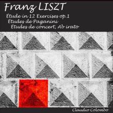 Claudio Colombo: Liszt: Étude in 12 Exercises, Op. 1 / Études de Paganini / Études de concert / Ab Irato