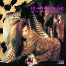 Dead Or Alive: Sophisticated Boom Boom