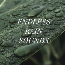 Rain Sounds: Endless Rain Sounds