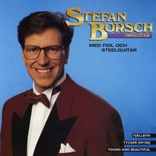 Stefan Borsch: Med Fiol Och Steelguitar