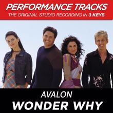 Avalon: Wonder Why (Performance Track In Key Of B)