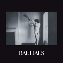 Bauhaus: In the Flat Field